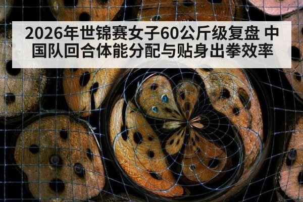 2026年世锦赛女子60公斤级复盘 中国队回合体能分配与贴身出拳效率（jiuyou game）