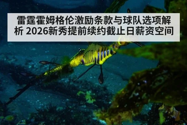 雷霆霍姆格伦激励条款与球队选项解析 2026新秀提前续约截止日薪资空间（jiuyou game）